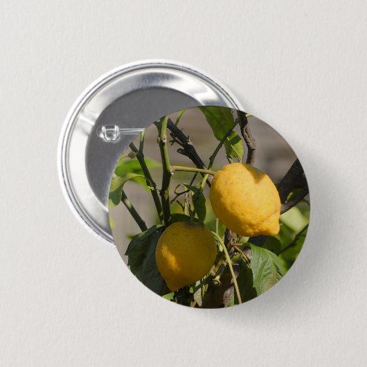 Spanische Lemon Graphics Button (Vorne & Hinten)