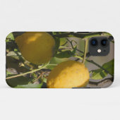 Spanische Lemon Graphics Case-Mate iPhone Hülle (Rückseite (Horizontal))
