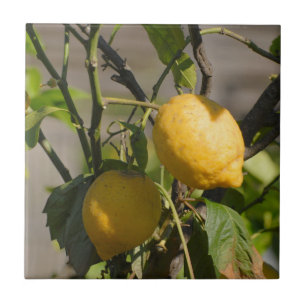 Spanische Lemon Graphics Fliese