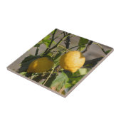 Spanische Lemon Graphics Fliese (Seite)