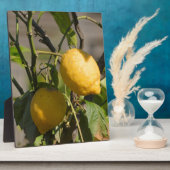 Spanische Lemon Graphics Fotoplatte (Seite)