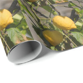 Spanische Lemon Graphics Geschenkpapier (Rolleneckpunkt)