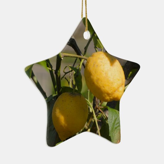 Spanische Lemon Graphics Keramik Ornament (Rechts)