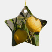 Spanische Lemon Graphics Keramik Ornament (Vorne)