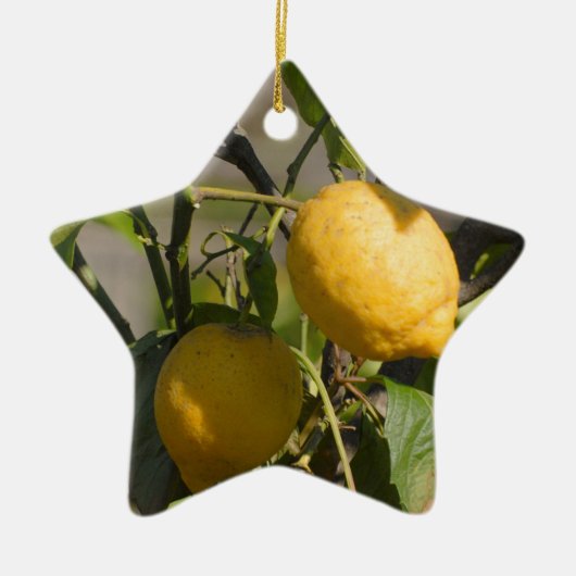Spanische Lemon Graphics Keramik Ornament (Vorne)