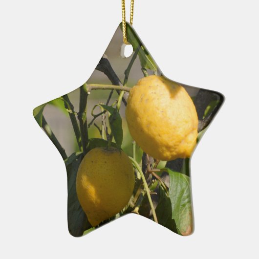 Spanische Lemon Graphics Keramik Ornament (Links)