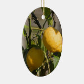 Spanische Lemon Graphics Keramik Ornament (Rechts)