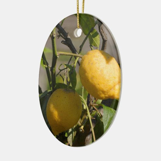 Spanische Lemon Graphics Keramik Ornament (Links)