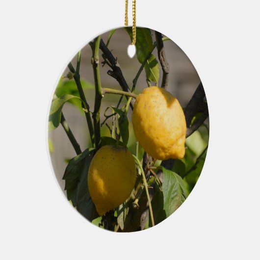 Spanische Lemon Graphics Keramikornament (Rechts)