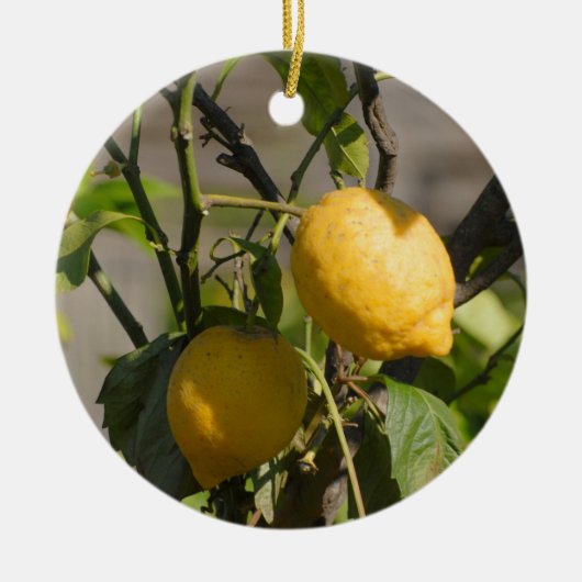 Spanische Lemon Graphics Keramikornament (Vorne)
