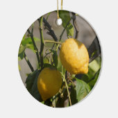 Spanische Lemon Graphics Keramikornament (Links)