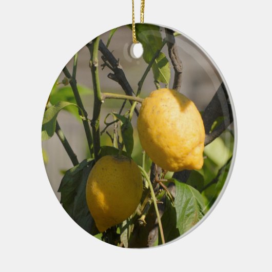 Spanische Lemon Graphics Keramikornament (Links)