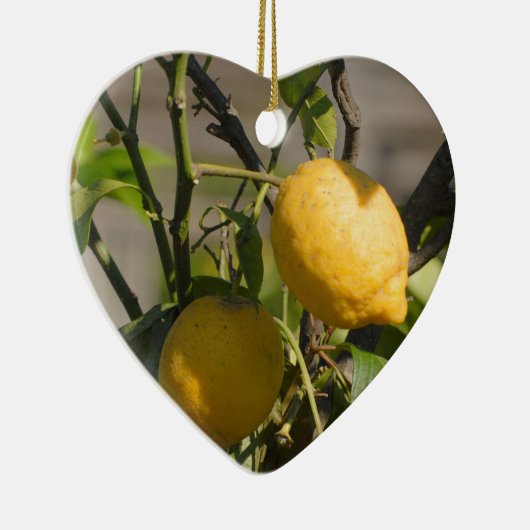 Spanische Lemon Graphics Keramikornament (Rechts)