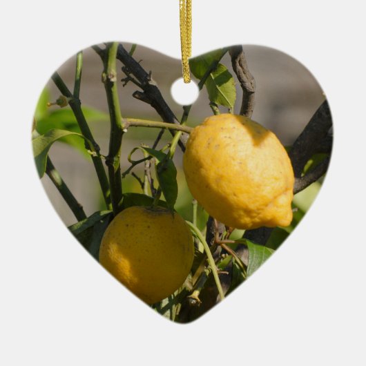 Spanische Lemon Graphics Keramikornament (Vorne)