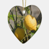 Spanische Lemon Graphics Keramikornament (Links)