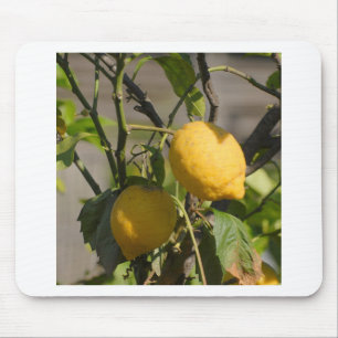 Spanische Lemon Graphics Mousepad
