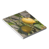 Spanische Lemon Graphics Notizblock (angewinkelt)