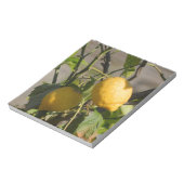 Spanische Lemon Graphics Notizblock (Rotiert)