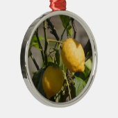 Spanische Lemon Graphics Ornament Aus Metall (Rechts)
