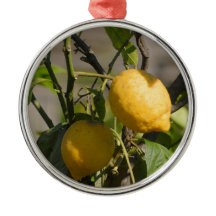 Spanische Lemon Graphics