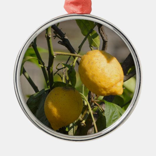 Spanische Lemon Graphics Ornament Aus Metall (Vorne)