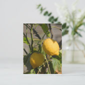 Spanische Lemon Graphics Postkarte (Stehend Vorderseite)