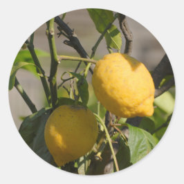 Spanische Lemon Graphics Runder Aufkleber