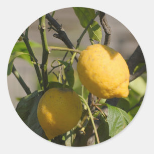 Spanische Lemon Graphics Runder Aufkleber