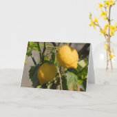 Spanische Lemon Grußkarten Karte (Gelbe Blume)