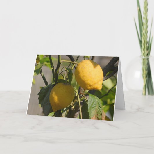 Spanische Lemon Grußkarten Karte (Vorderseite)