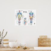 Spanische Muskelanatomie-Chart Poster (Küche)