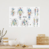 Spanische Muskelanatomie-Tabelle Poster (Küche)