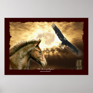 Spanische Mustang Horse & Bald Adler Kunst Poster