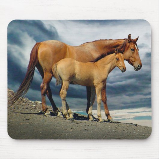 Spanische Mustang-Stute Mousepad (Vorne)