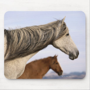Spanische Mustangs Mousepad