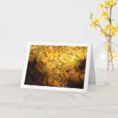 Spanische Paella Cuisine Karte (Gelbe Blume)