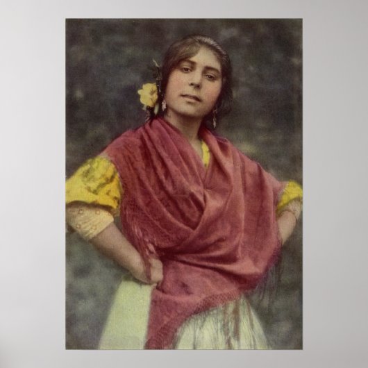 Spanische Sinti und Roma Poster (Vorne)