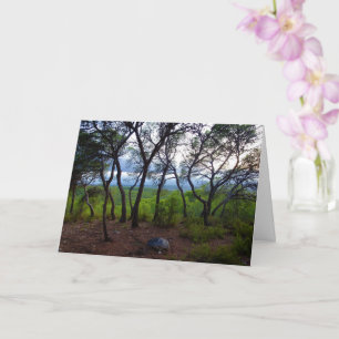Spanische Waldlandschaft Karte