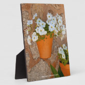 Spanische Wall Plaque Fotoplatte (Seite)