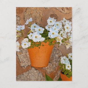 Spanische Wand Postkarte