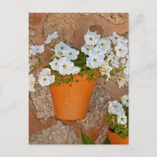 Spanische Wand Postkarte (Vorderseite)