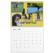 Spanische Wasserhunde 2020 Kalender (Mär 2027)