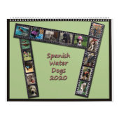 Spanische Wasserhunde 2020 Kalender (Titelbild)