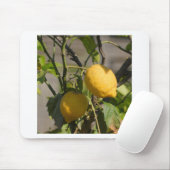 Spanische Zitronen Grafiken Mousepad (Mit Mouse)