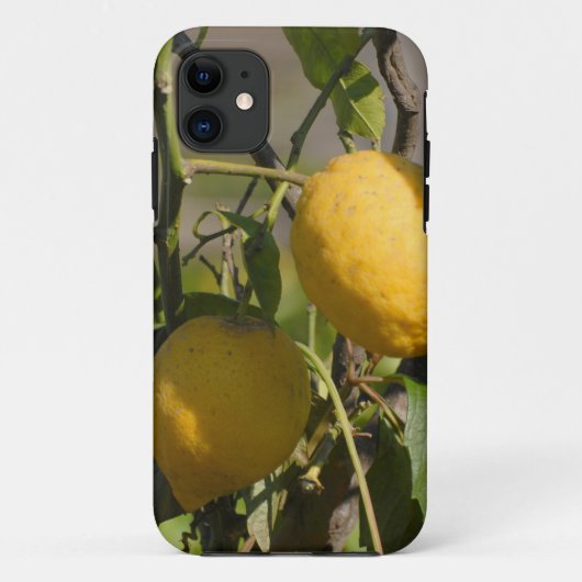 Spanische Zitronengrafiken Case-Mate iPhone Hülle (Rückseite)