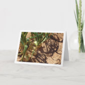 Spanische Zonen in Feld, Lebensmittelfotografie Karte (Vorderseite)