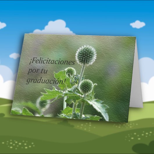 Spanischer Abschluss Karte