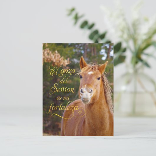 Spanischer Bibelverse Lächelnde Pferdepostkarten Postkarte (Stehend Vorderseite)