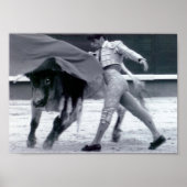 Spanischer Bulldog Poster (Vorne)