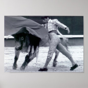 Spanischer Bulldog Poster